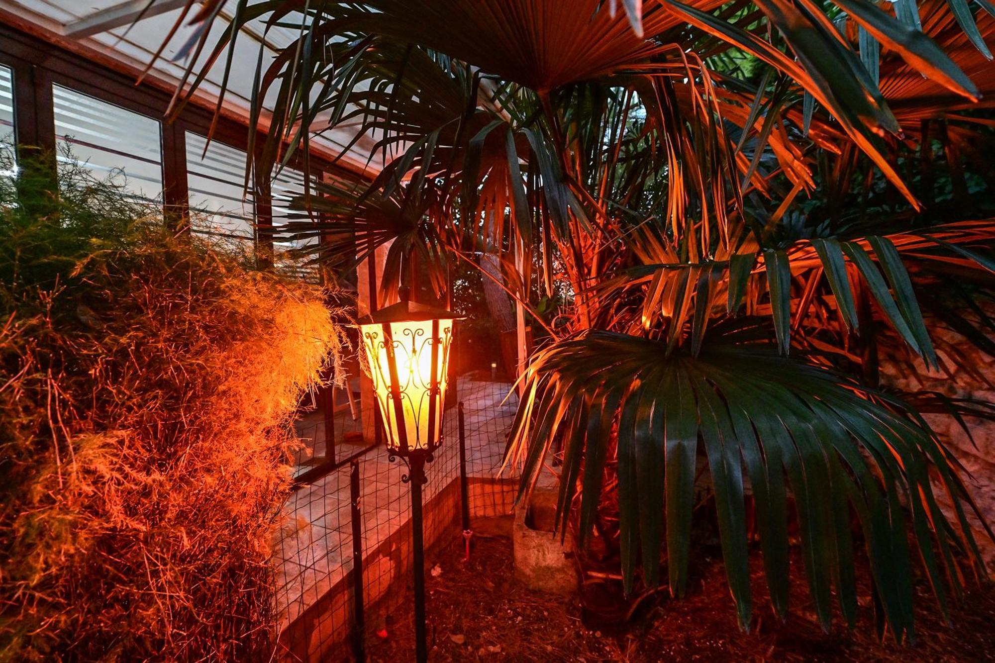 Appartement Bohemian Rhapsody à Rovinj Extérieur photo